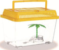 Acquario Vaschetta Pesci Tartarughe Coperchio Maniglia Presa Aria 21x13.5x14 Cm Prodotti per animali domestici/Pesci e animali d'acqua/Acquari e bocce per pesci/Acquari Trade Shop italia - Napoli, Commerciovirtuoso.it