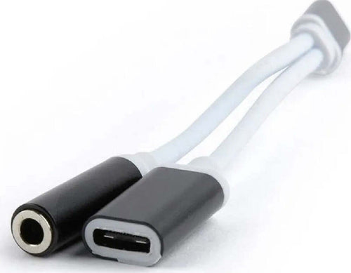 Adattatore Smart 2 In 1 Type-c A Cavo Audio Stereo 3,5 Mm / Usb-c Femmina Q-a186 Elettronica/Cuffie auricolari e accessori/Adattatori Trade Shop italia - Napoli, Commerciovirtuoso.it