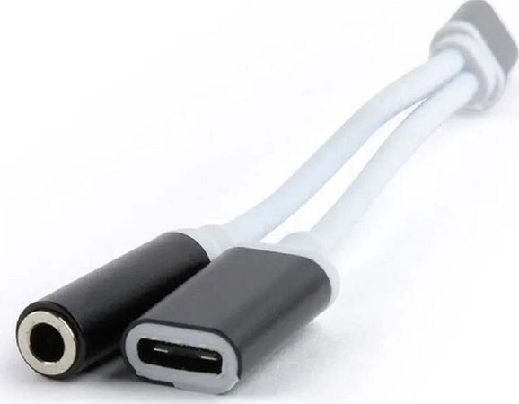 Adattatore Smart 2 In 1 Type-c A Cavo Audio Stereo 3,5 Mm / Usb-c Femmina Q-a186 Elettronica/Cuffie auricolari e accessori/Adattatori Trade Shop italia - Napoli, Commerciovirtuoso.it