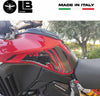 Adesivi-3D-Protezioni-Laterali-compatibili-con-Ducati-Multistrada-V4-2021