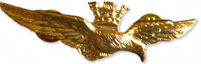 Aeronautica Militare Italiana Spilla Da Giacca Color Oro Aquila Pilota Militare Chiusura Con 2 Clips Aquila In Volo Con Corona Sport e tempo libero/Fan Shop/Cimeli sportivi/Spille e bottoni Il Distintivo - Pesaro, Commerciovirtuoso.it