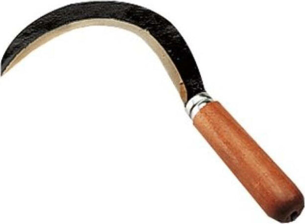 AGEF---RONCOLETTA-PICCOLA