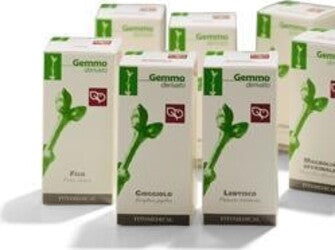 AGNOCASTO-Macerato-Glicerinato-Gemme-200-ml-Fitomedical