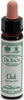 AINSWORTHS-OAK-10ML