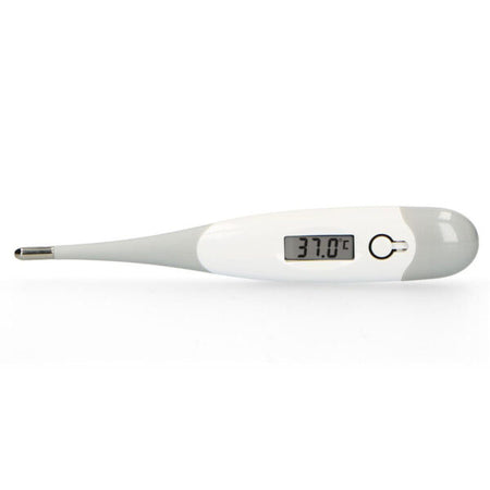 Termometro Digitale Grigio Alecto Baby