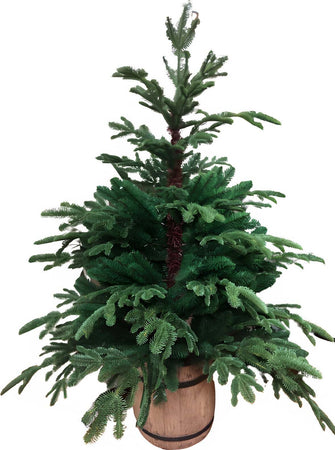 Albero di Natale Abete verde con vaso, in PE Effetto Real Touch h 130 cm Casa e cucina/Decorazioni per interni/Addobbi e decorazioni per ricorrenze/Decorazioni natalizie/Alberi di natale artificiali MagiediNatale.it - Altamura, Commerciovirtuoso.it