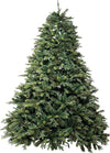 ALBERO-DI-NATALE-'CLIFFORD'-h.210-cm---base-162-cm-/-2175-rami