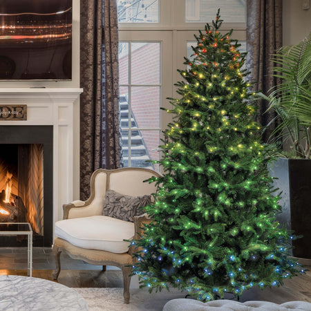 Albero di natale con 550 gocce led RGB in PE Effetto Real Touch h 230 cm Casa e cucina/Decorazioni per interni/Addobbi e decorazioni per ricorrenze/Decorazioni natalizie/Alberi di natale artificiali MagiediNatale.it - Altamura, Commerciovirtuoso.it