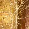 Albero di Natale luminoso con 900 MicroLed decorazione da interno ed esterno h 210 cm Casa e cucina/Decorazioni per interni/Addobbi e decorazioni per ricorrenze/Decorazioni natalizie/Alberi di natale artificiali MagiediNatale.it - Altamura, Commerciovirtuoso.it