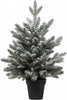 Albero di natale pinetto innevato in PE Real Touch + Flock h 60 cm Casa e cucina/Decorazioni per interni/Addobbi e decorazioni per ricorrenze/Decorazioni natalizie/Alberi di natale artificiali MagiediNatale.it - Altamura, Commerciovirtuoso.it