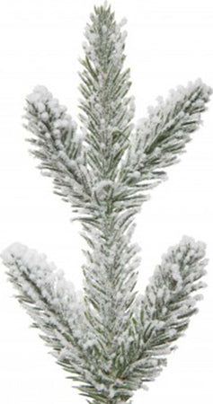 Albero di natale pinetto innevato in PE Real Touch + Flock h 60 cm Casa e cucina/Decorazioni per interni/Addobbi e decorazioni per ricorrenze/Decorazioni natalizie/Alberi di natale artificiali MagiediNatale.it - Altamura, Commerciovirtuoso.it