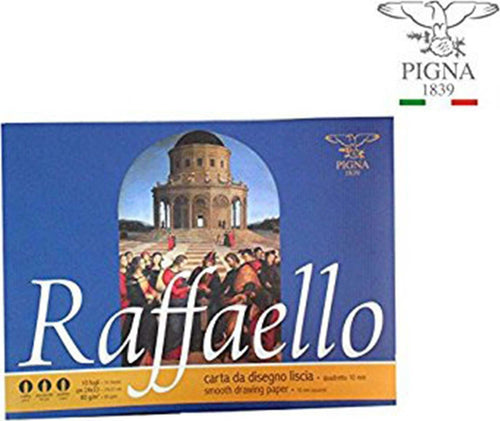 ALBUM DA DISEGNO RAFFAELLO PIGNA FOGLIO F2 SQUADRATO 24X33CM 10 FOGLI 80 G/M Casa e cucina/Hobby creativi/Disegno/Blocchi e libri da disegno Trade Shop italia - Napoli, Commerciovirtuoso.it
