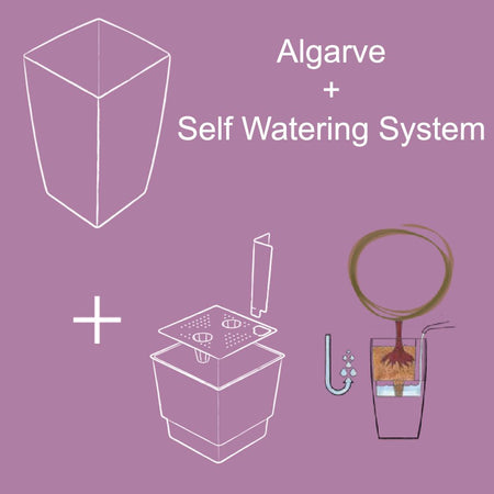 Vaso rettangolare "Algarve con riserva d'acqua" da esterno per fiori e piante