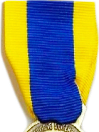 Alluvione Del Po - Nastro / Nastrino / Medaglia Sport e tempo libero/Accessori/Trofei medaglie e premi/Medaglie Il Distintivo - Pesaro, Commerciovirtuoso.it