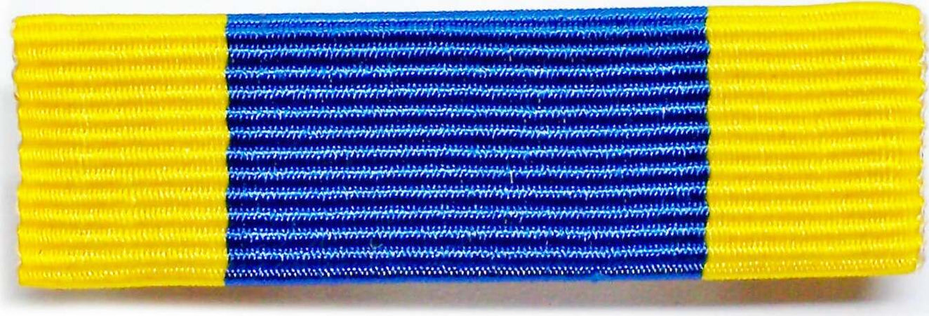 Alluvione Del Po - Nastro / Nastrino / Medaglia Sport e tempo libero/Accessori/Trofei medaglie e premi/Medaglie Il Distintivo - Pesaro, Commerciovirtuoso.it