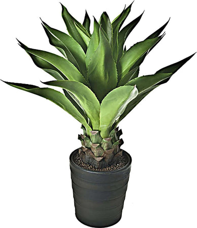 Aloe 90 Cm Con vaso Bianchi Dino Giardino e giardinaggio/Piante semi e bulbi/Piante da esterno/Cactus e piante grasse Loft Uno di Casa - Catania, Commerciovirtuoso.it