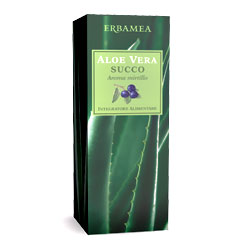 Aloe vera con Mirtillo 500ml