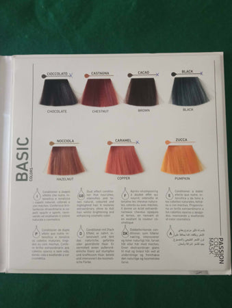Aleterego Passion Color Mask 250 Ml Maschera Per Capelli Colorata - Luminosità E Brillantezza Per Capelli Spenti E Opachi Bellezza/Cura dei capelli/Colore/Illuminanti per colore Me.Dis. - Peschiera Borromeo, Commerciovirtuoso.it