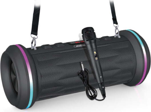 Altoparlante-Bluetooth-Portatile-Microfono-Radio-Tws-Usb-Funzione-Karaoke-Q-yx8