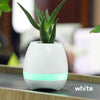 ALTOPARLANTE CASSA SPEAKER BLUETOOTH A FORMA DI VASO PIANTA FIORI IMPERMEABILE  Trade Shop italia - Napoli, Commerciovirtuoso.it