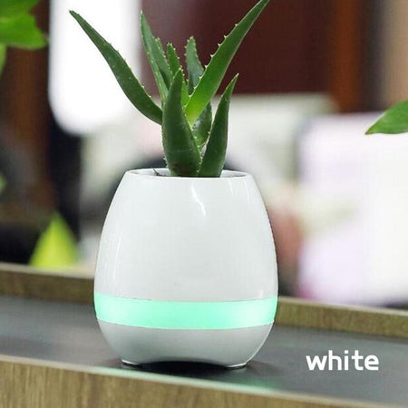 ALTOPARLANTE CASSA SPEAKER BLUETOOTH A FORMA DI VASO PIANTA FIORI IMPERMEABILE  Trade Shop italia - Napoli, Commerciovirtuoso.it