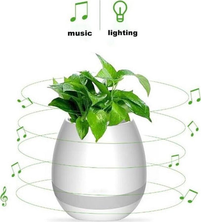 ALTOPARLANTE CASSA SPEAKER BLUETOOTH A FORMA DI VASO PIANTA FIORI IMPERMEABILE  Trade Shop italia - Napoli, Commerciovirtuoso.it