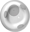 ALTOPARLANTE CASSA SPEAKER BLUETOOTH A FORMA DI VASO PIANTA FIORI IMPERMEABILE  Trade Shop italia - Napoli, Commerciovirtuoso.it