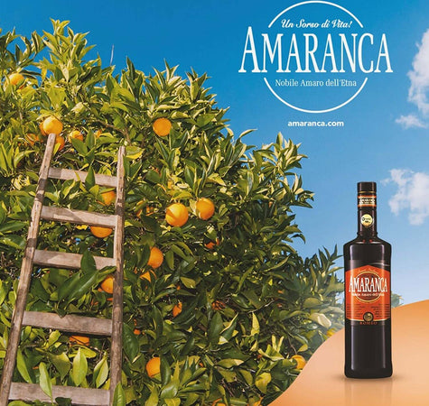 Amaranca Nobile Amaro Dell'Etna 1L. Amaro d'Arancia Selvatica Siciliana Romeo Vini Prodotto 100% Italiano Artigianale Made in Italy Amaro Tipici & Food - Bronte, Commerciovirtuoso.it