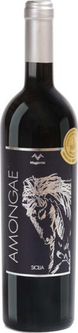 Amongae-Maggio-Vini
