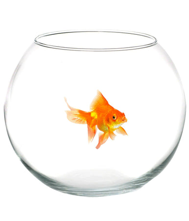 Ampolla Boccia Per Pesci In Vetro 20 Cm Acquario Pesce Rosso Centrotavola