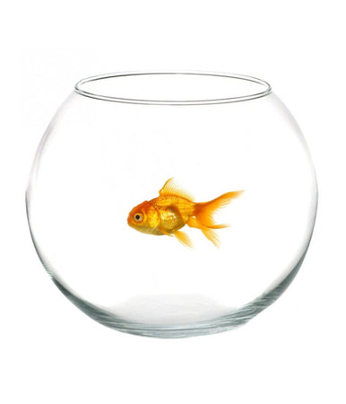 Ampolla Boccia Per Pesci In Vetro 20 Cm Acquario Pesce Rosso Centrotavola