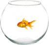Ampolla Boccia Per Pesci In Vetro 30 Cm Acquario Pesce Rosso Centrotavola Acquari e Terrari Trade Shop italia - Napoli, Commerciovirtuoso.it