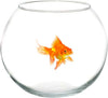 Ampolla-Boccia-Per-Pesci-In-Vetro-30-Cm-Acquario-Pesce-Rosso-Centrotavola