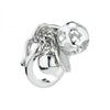 Anello Chiama Angeli Roberto Giannotti Sfa33