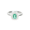 Anello donna RECARLO R77CC002/SM-13
