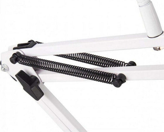 Anello Led Ring Light Da Tavolo Con Supporto Smartphone Selfie Live Video Tiktok Elettronica/Foto e videocamere/Flash/Flash Macro Ring Light Trade Shop italia - Napoli, Commerciovirtuoso.it