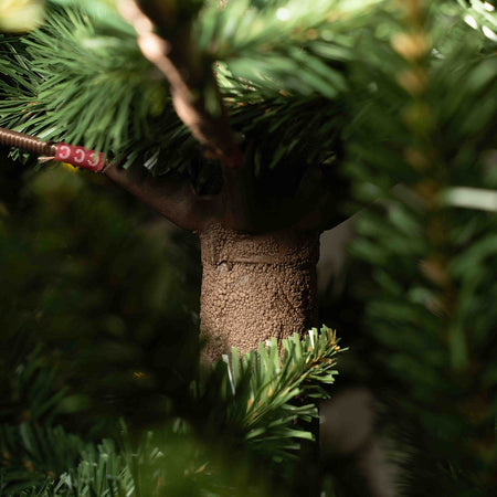 Albero di natale "Tonale" con Led e Tronco Marrone 80% PE Effetto Real Touch