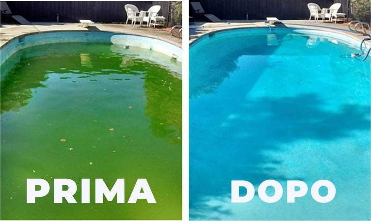Antialghe Piscina Alghicida 25 Kg 6 Azioni Non Schiumogeno Diluente Schiarente senza Schiuma Giardino e giardinaggio/Piscine vasche idromassaggio e accessori/Prodotti chimici e tester Ph/Alghicidi Tech Service - Melito di Napoli, Commerciovirtuoso.it