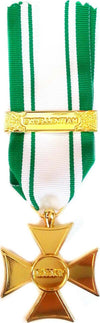 Anzianità 35 Anni Croce Rossa Italiana - Nastro / Nastrino / Medaglia Sport e tempo libero/Accessori/Trofei medaglie e premi/Medaglie Il Distintivo - Pesaro, Commerciovirtuoso.it