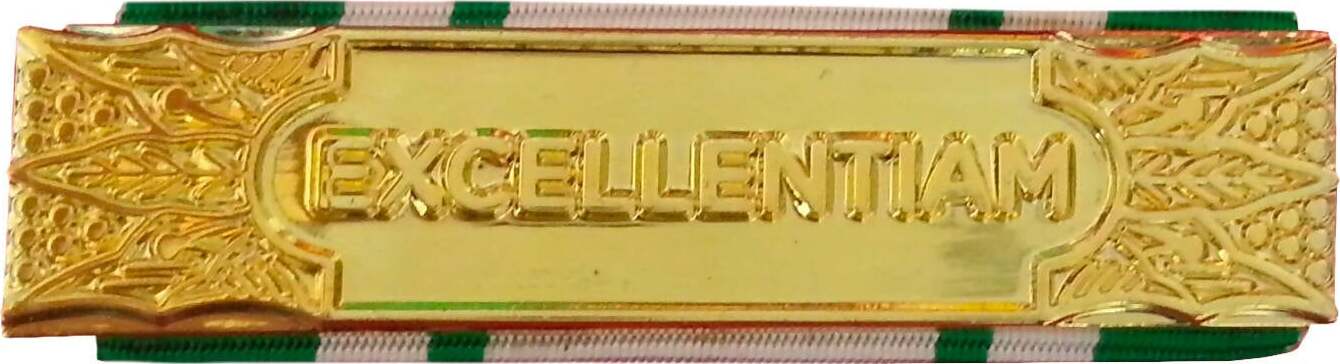 Anzianità 35 Anni Croce Rossa Italiana - Nastro / Nastrino / Medaglia Sport e tempo libero/Accessori/Trofei medaglie e premi/Medaglie Il Distintivo - Pesaro, Commerciovirtuoso.it