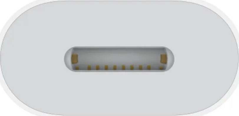 Apple-adattatore-usb-c-a-lightning-muqx3zm/a