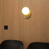 Applique-Contemporanea-Ninfea-Metallo-Ottone-1-Luce-Gx53-9W-3000K-Luce-Calda