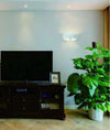 Applique In Gesso Ultra Moderno Mezza Luna Up & Down Lampada Attacco R7s Gs-e71 Casa, arredamento e bricolage > Illuminazione da interno > Applique per interno Trade Shop italia - Napoli, Commerciovirtuoso.it