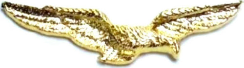 Aquila Pilota Civile Varie Misure Distintivo in Metallo Dorato Chiusura Con Clip Sport e tempo libero/Fan Shop/Cimeli sportivi/Spille e bottoni Il Distintivo - Pesaro, Commerciovirtuoso.it