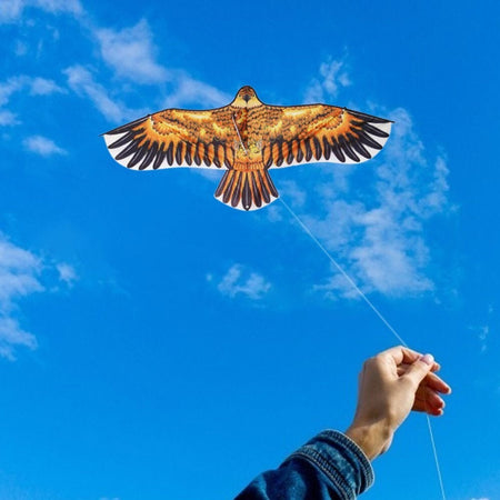 Aquilone Aquila Gioco Esterno Spiaggia Facile Da Pilotare Vari Colori 135x60 Cm Sport e tempo libero/Sport di svago/Aquiloni e giochi da lancio/Aquiloni Trade Shop italia - Napoli, Commerciovirtuoso.it
