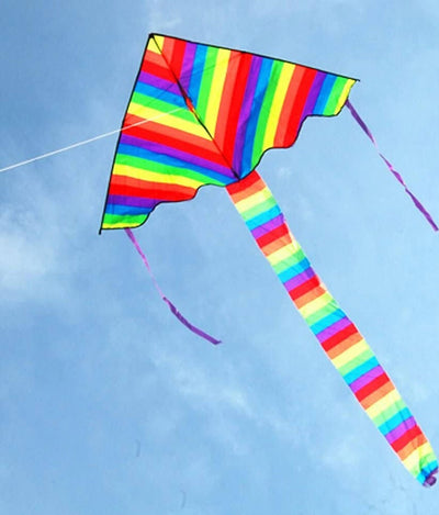 Aquilone Arcobaleno Coda Lunga Gioco Esterno Spiaggia Super Facile Da Pilotare Giochi e giocattoli/Sport e giochi all'aperto/Aquiloni e giochi volanti/Aquiloni Trade Shop italia - Napoli, Commerciovirtuoso.it