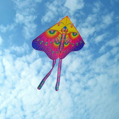 Aquilone Farfalla Gioco Esterno Spiaggia Facile Da Pilotare Vari Colori 140x130 Giochi e giocattoli/Sport e giochi all'aperto/Aquiloni e giochi volanti/Aquiloni Trade Shop italia - Napoli, Commerciovirtuoso.it