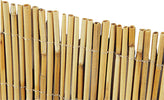 Arella-Bambù-cm-250-x-400-Design-Naturale-per-un-Ambiente-Accogliente-Lif