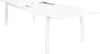 ARGENTUM---tavolo-da-giardino-allungabile-in-alluminio-220/280x100-Bianco-Milani-Home