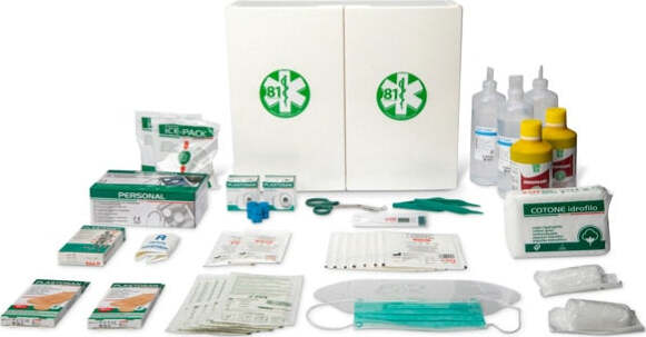 Armadietto di pronto soccorso 102-P - 45x37 5x13 cm - plastica - oltre 3 persone - bianco - PVS Salute e cura della persona/Prodotti per la medicazione/Pronto soccorso/Kit di pronto soccorso/Casa e lavoro Eurocartuccia - Pavullo, Commerciovirtuoso.it